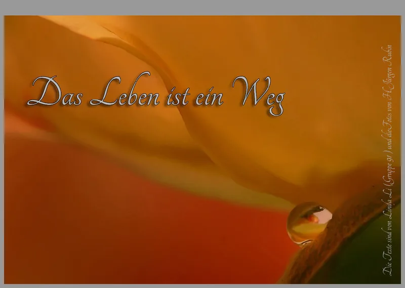 Tautropfen - H.Jürgen Rubin / Poesie - Linda Li