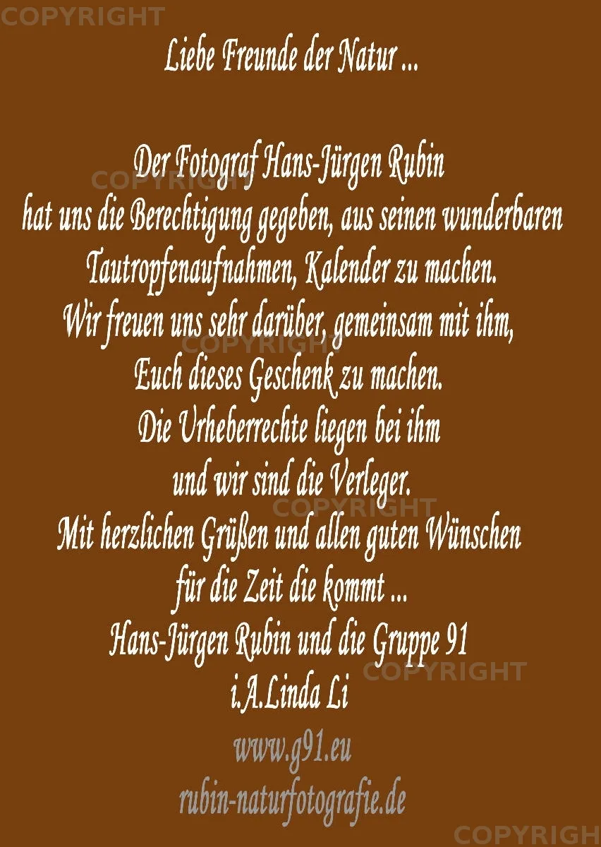 Fotokalender A4 ... Hans-Jürgen Rubin