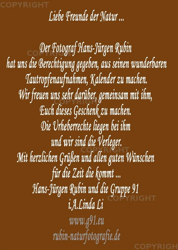 Fotokalender A4 ... Hans-Jürgen Rubin