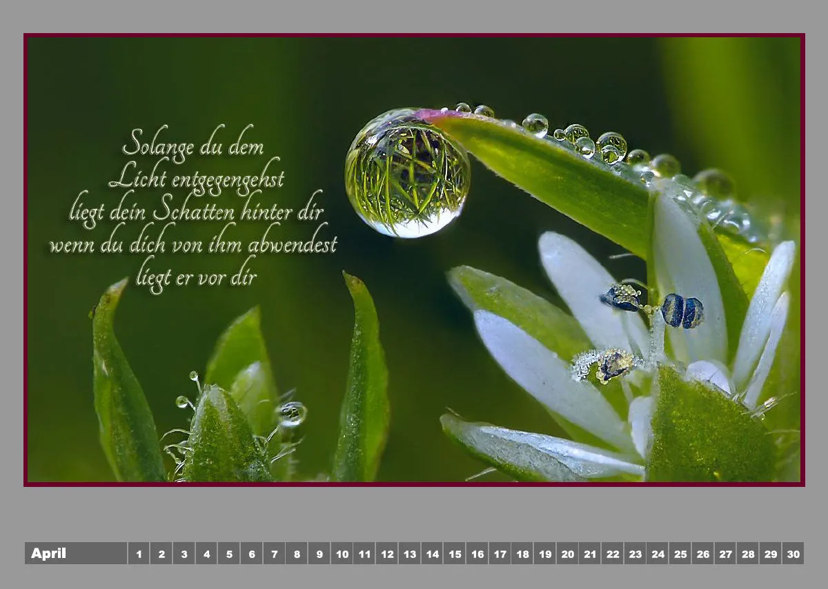 Tautropfen - H.Jürgen Rubin / Poesie - Linda Li