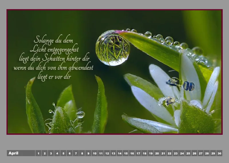 Tautropfen - H.Jürgen Rubin / Poesie - Linda Li