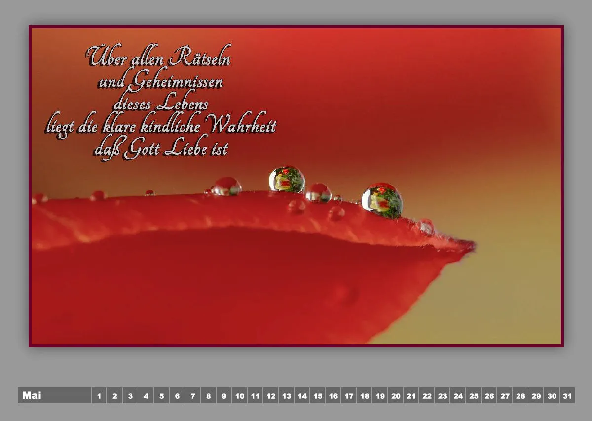 Tautropfen - H.Jürgen Rubin / Poesie - Linda Li