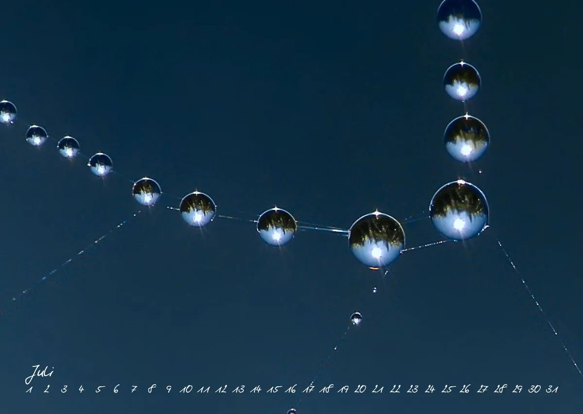 Fotokalender neutral ... Tautropfen H.Jürgen Rubin