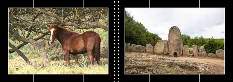 Fotobuch Sardinien