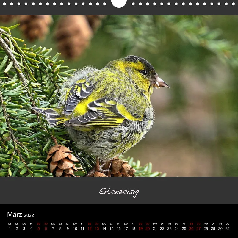 Mago's Fotokalender 2022