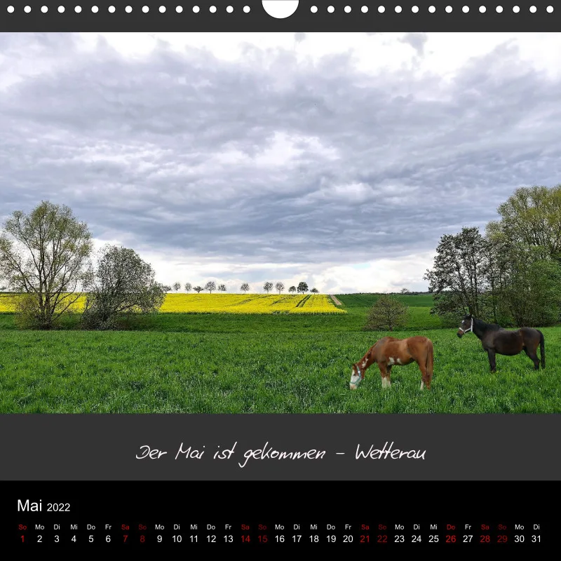 Mago's Fotokalender 2022