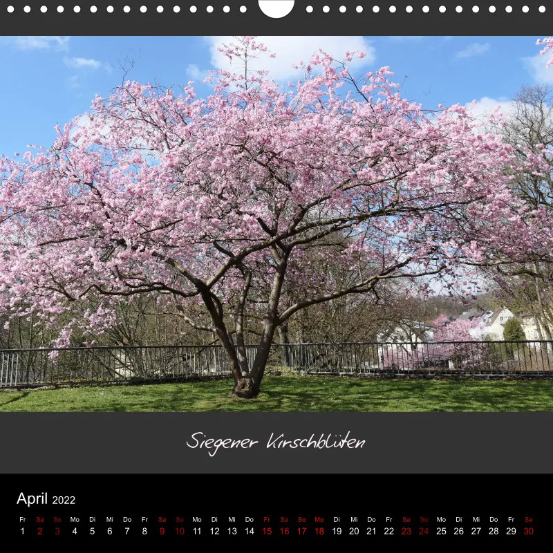 Mago's Fotokalender 2022