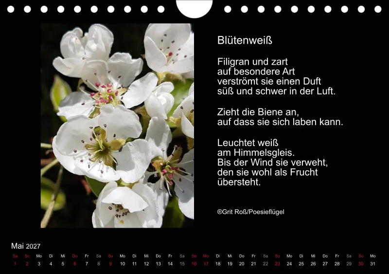 Wandkalender Ein Hauch von Poesie