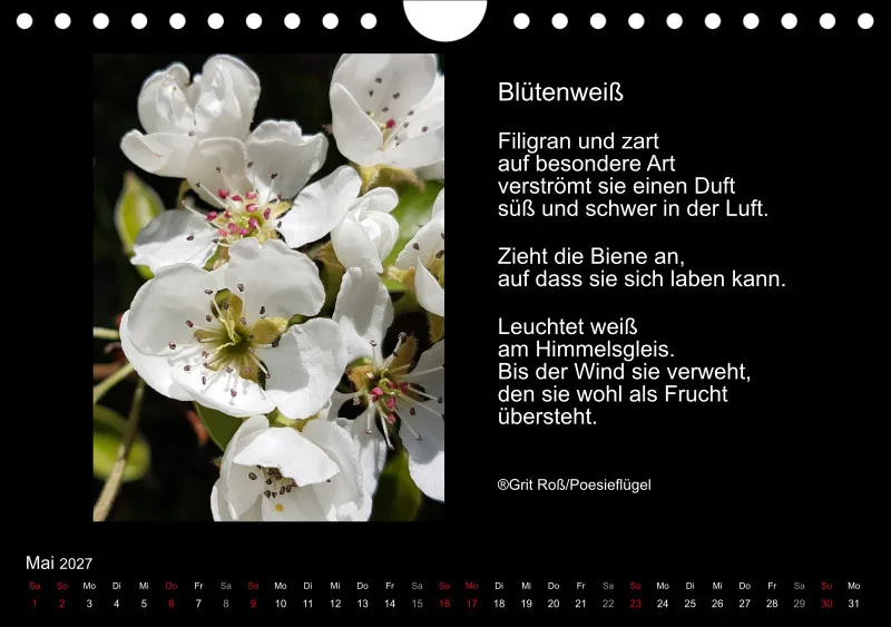 Wandkalender Ein Hauch von Poesie