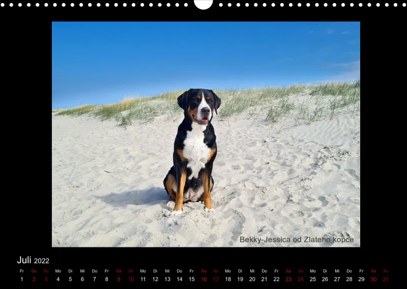 GSS Forenkalender 2022