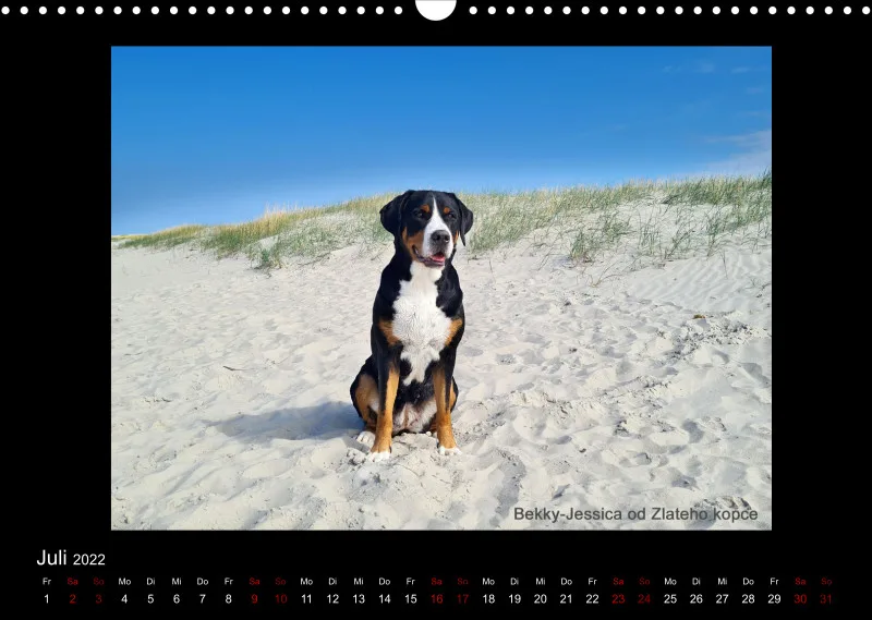 GSS Forenkalender 2022