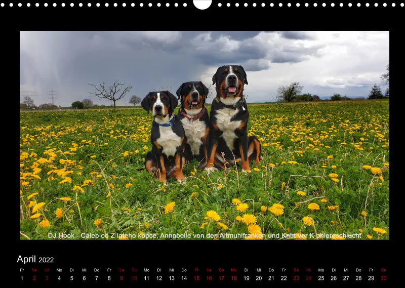 GSS Forenkalender 2022