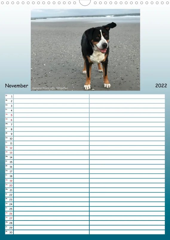 GSS Familienplaner 2022