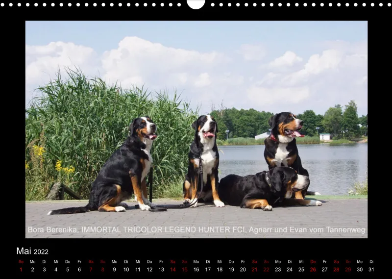 GSS Forenkalender 2022
