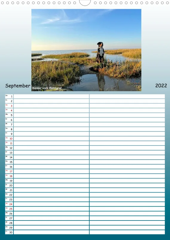GSS Familienplaner 2022