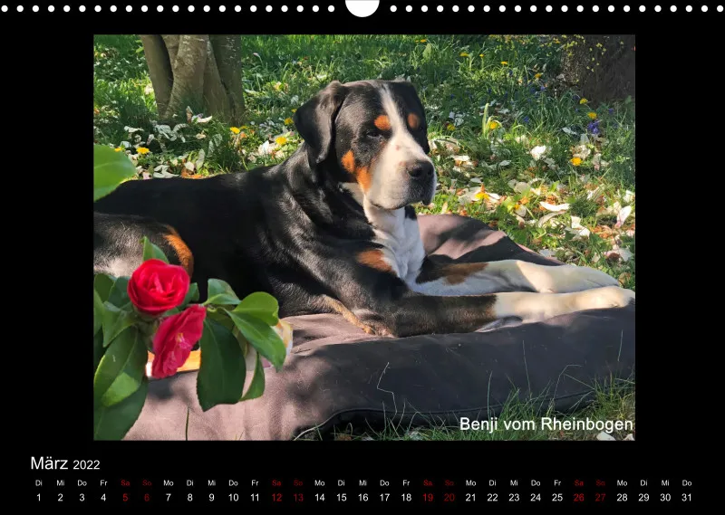 GSS Forenkalender 2022
