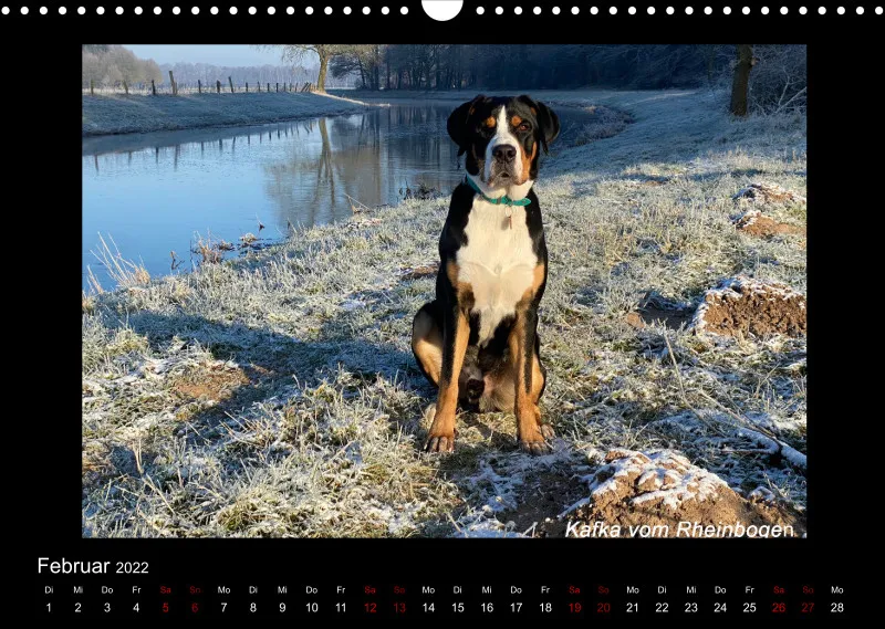 GSS Forenkalender 2022