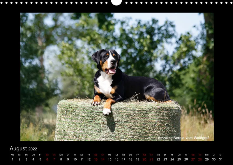 GSS Forenkalender 2022