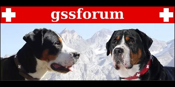 GSS