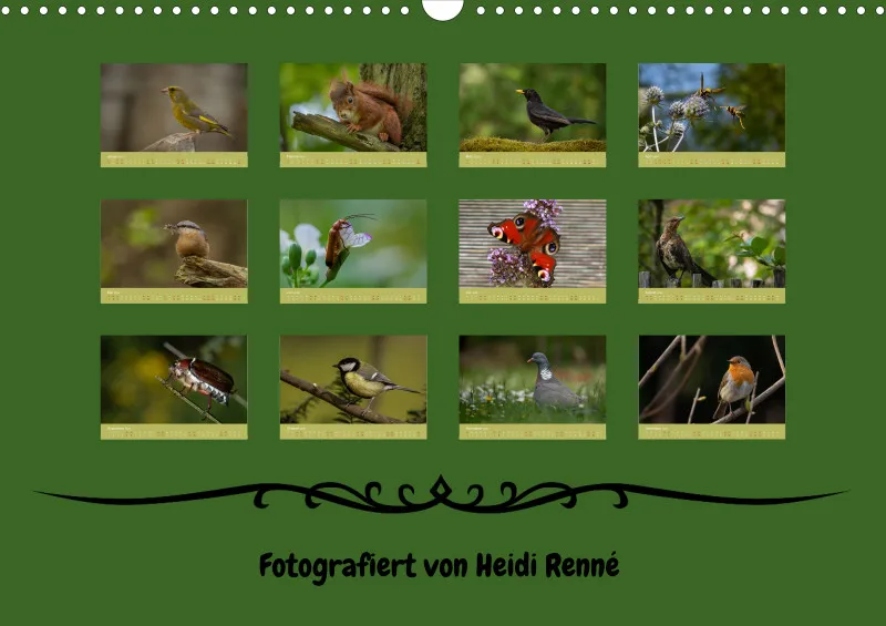 Tiere im Garten