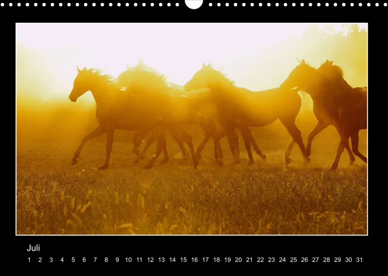Herds of Arabian Horses - ein immerwährender Wandkalender