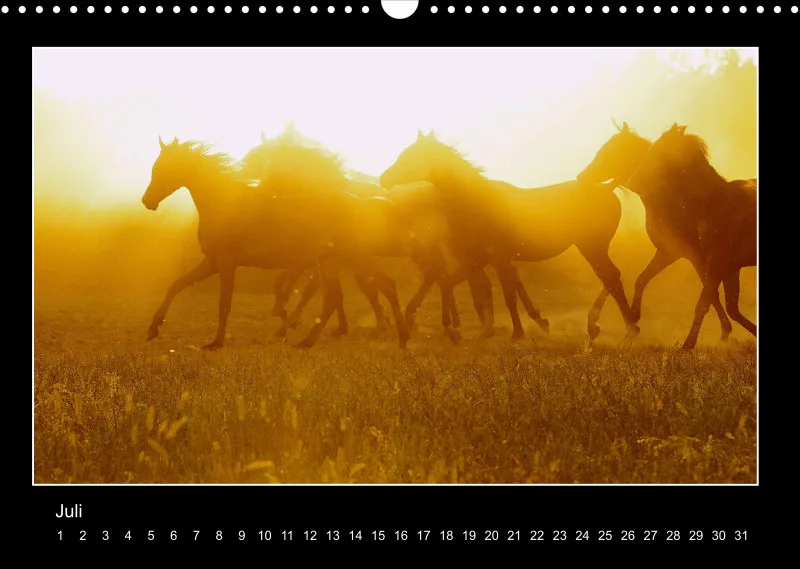 Herds of Arabian Horses - ein immerwährender Wandkalender