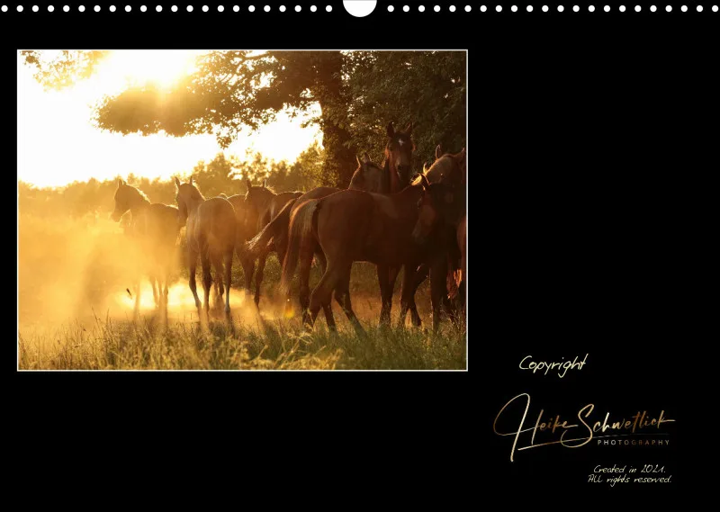 Herds of Arabian Horses - ein immerwährender Wandkalender
