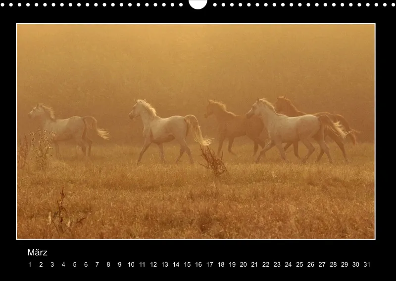 Herds of Arabian Horses - ein immerwährender Wandkalender