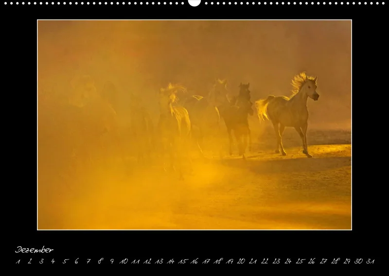 Arabian Passion Forever - der immerwährende Kalender !