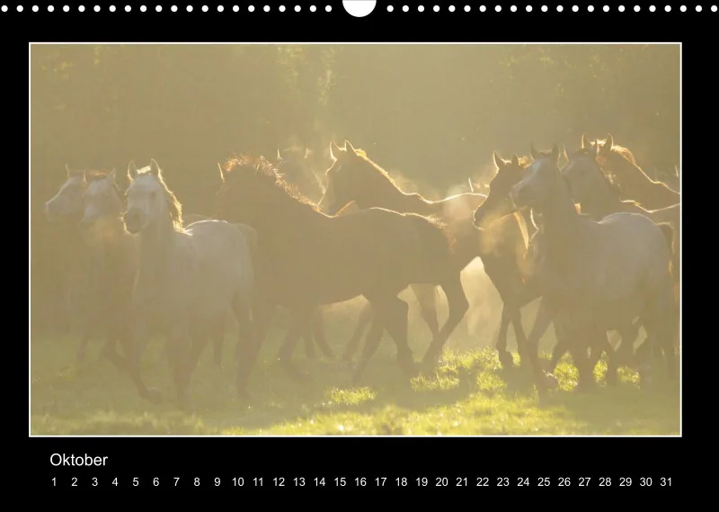 Herds of Arabian Horses - ein immerwährender Wandkalender