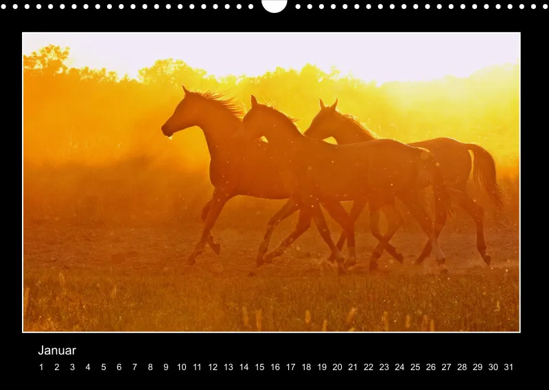 Herds of Arabian Horses - ein immerwährender Wandkalender