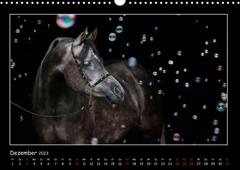 Beloved Arabian Horses 2023