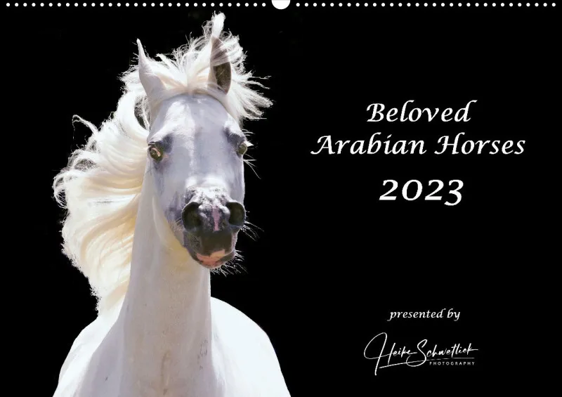 Beloved Arabian Horses 2023