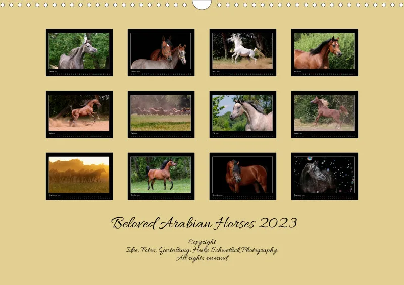 Beloved Arabian Horses 2023