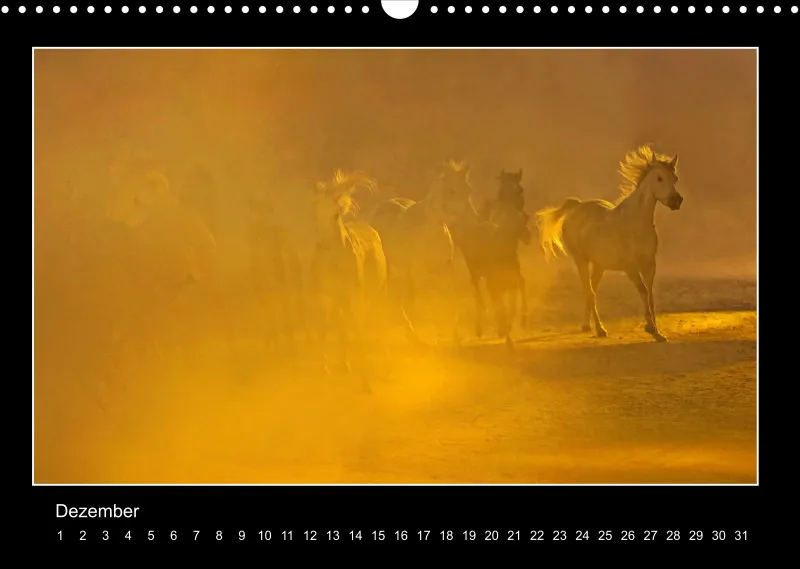Herds of Arabian Horses - ein immerwährender Wandkalender