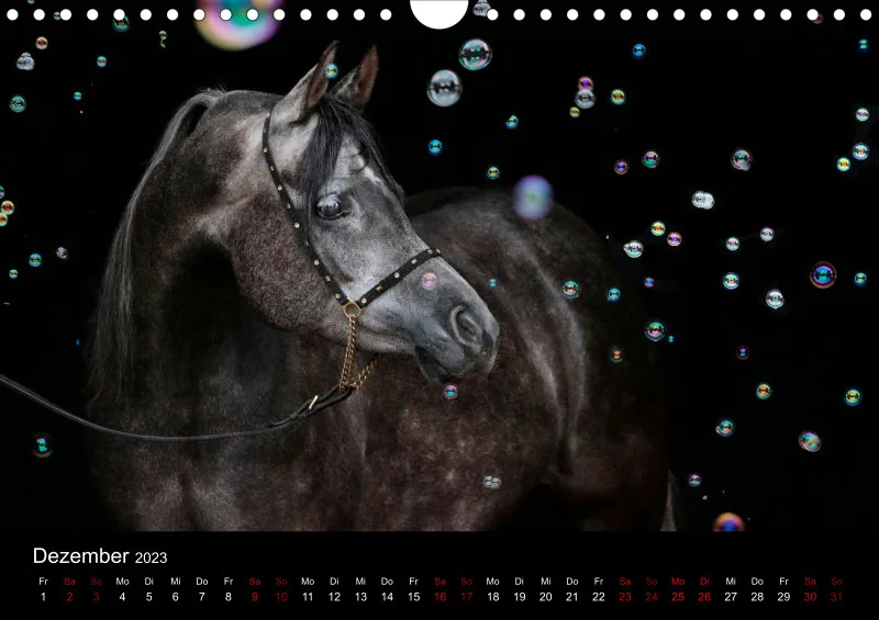 Beloved Arabian Horses 2023
