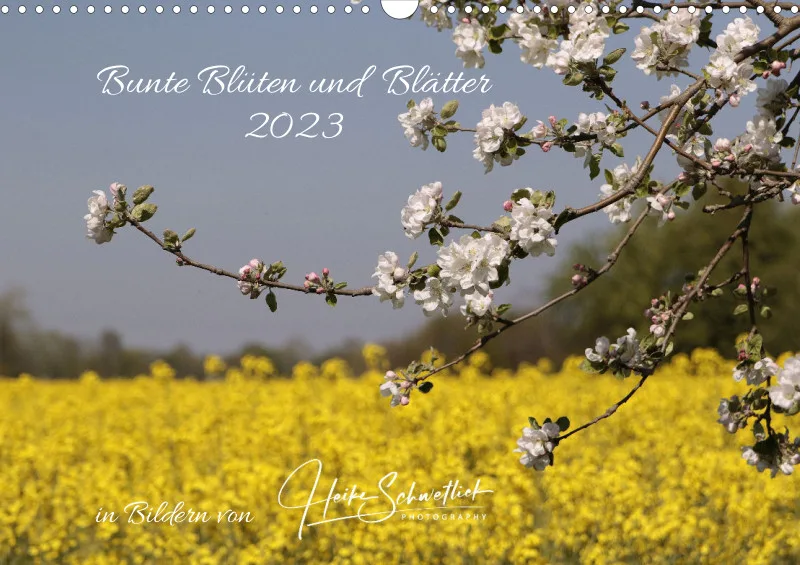 Bunte Blüten & Blätter 2023