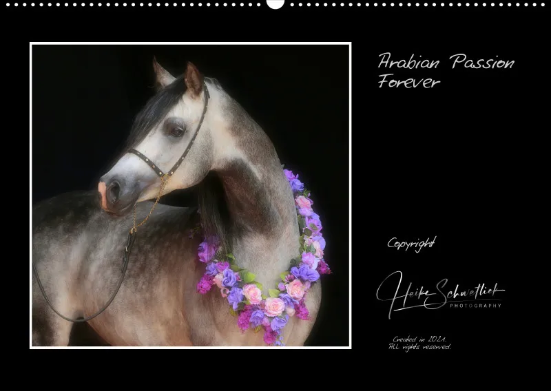 Arabian Passion Forever - der immerwährende Kalender !