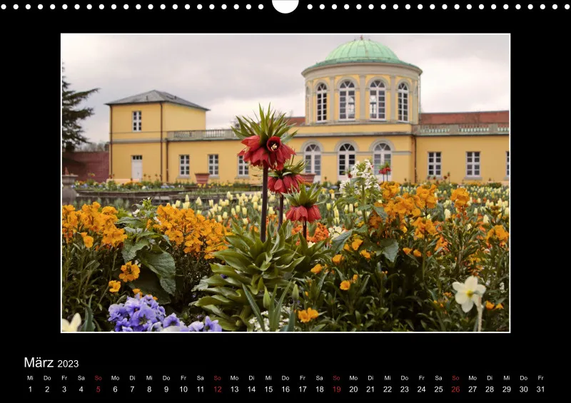 Bunte Blüten & Blätter 2023