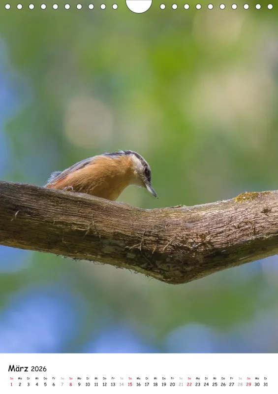 Lidias Vogelwelt