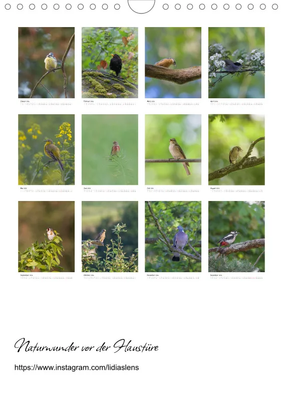 Lidias Vogelwelt
