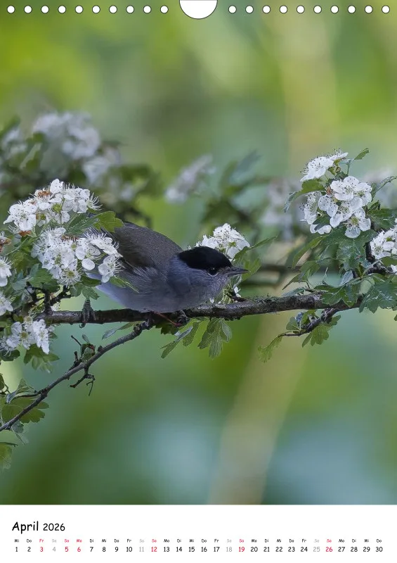 Lidias Vogelwelt