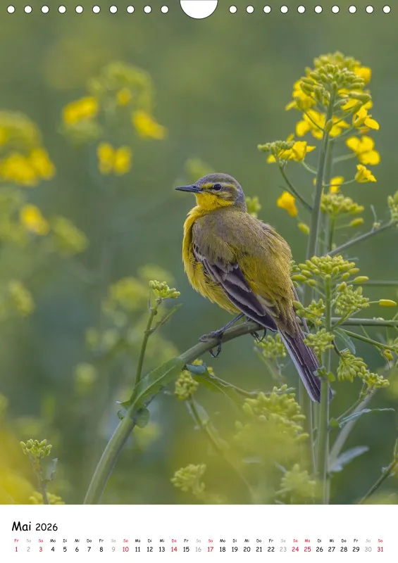 Lidias Vogelwelt