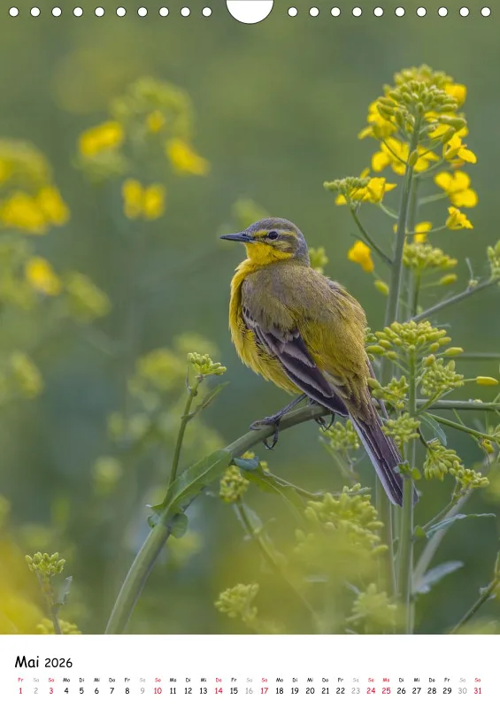 Lidias Vogelwelt