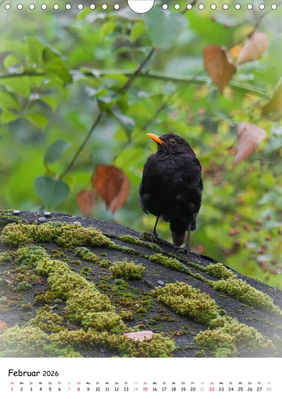 Lidias Vogelwelt