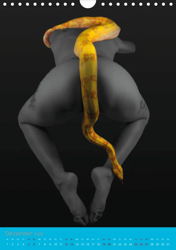 Umwundene Eleganz – Aktkunst mit Schlange