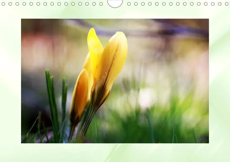 Blumen 2021