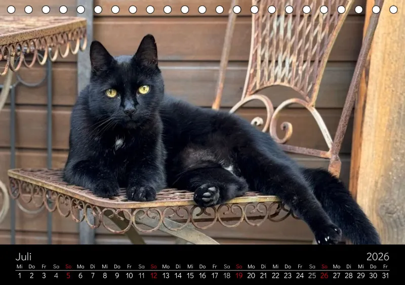 Gartenkatze Petersilie 2026