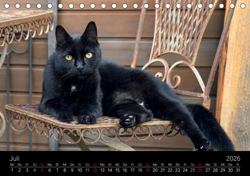 Gartenkatze Petersilie 2026