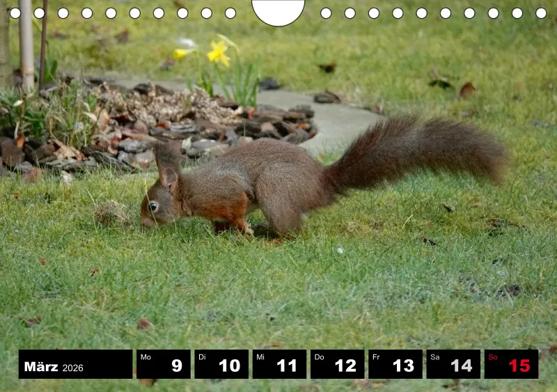 HH 2026 Wochenkalender A5